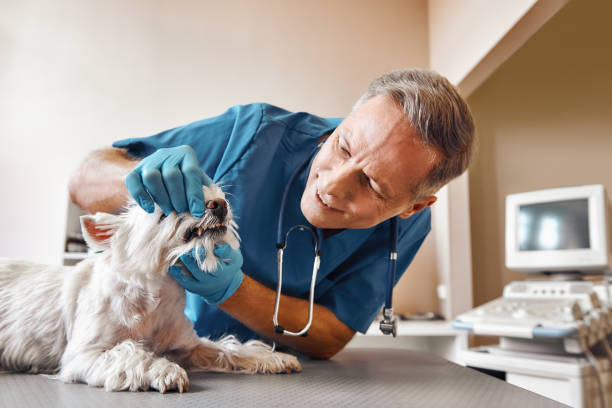 Best Emergency TMJ Treatment in Wellsburg, WV